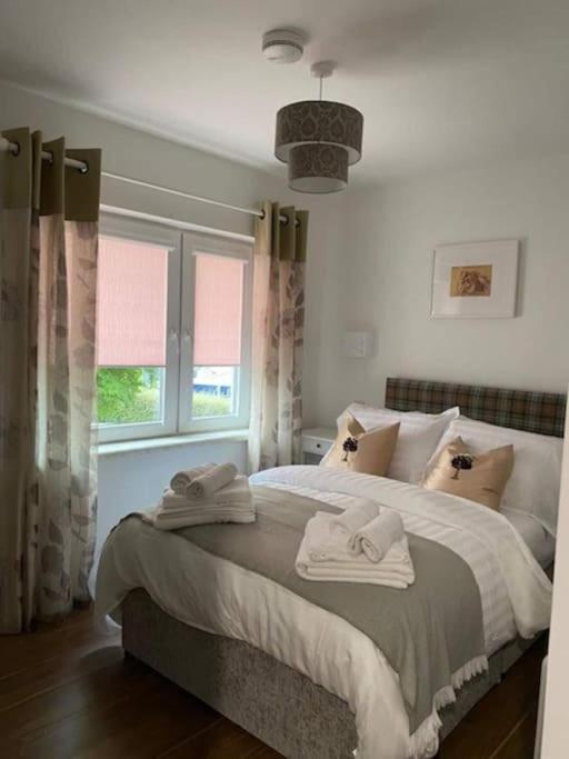 Location, Location - Modern 2 Bed Apt In 킬라니 외부 사진